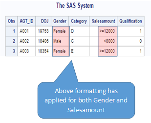 12_Proc_Format_SAS