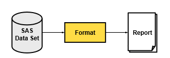 1_Proc_Format_SAS