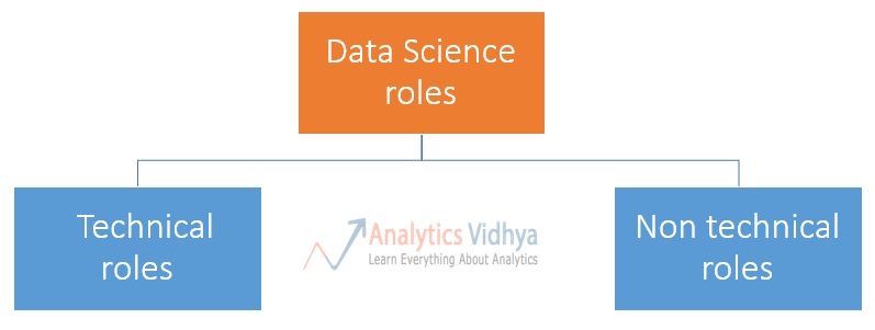 Types of data science roles