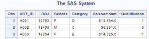 SAS PROC Format | Predefined and User Defined Format in SAS