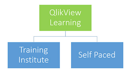 QlikSense learning types