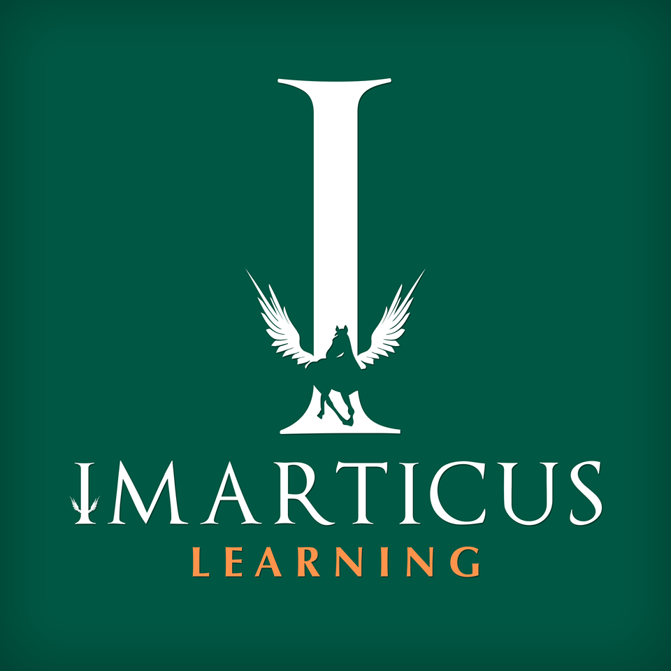 Business Analytics Professional  with R – Imarticus Learning