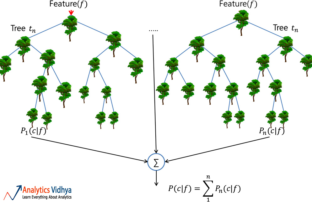 Classification model - guide to learn random forest