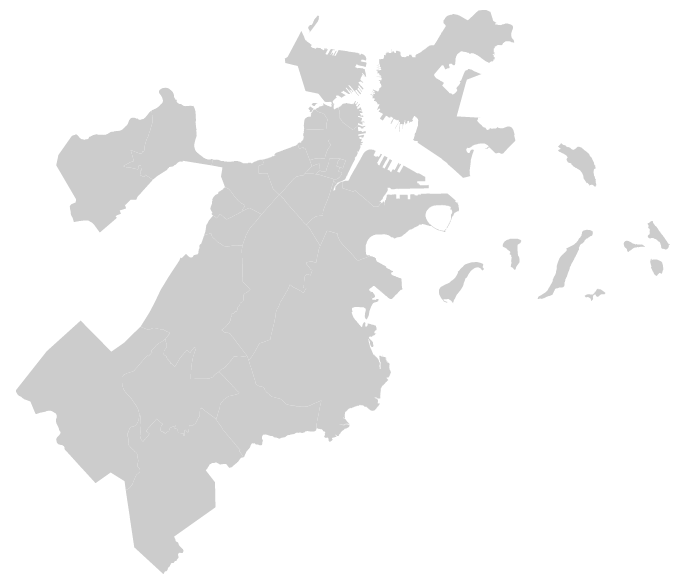 boston map in d3