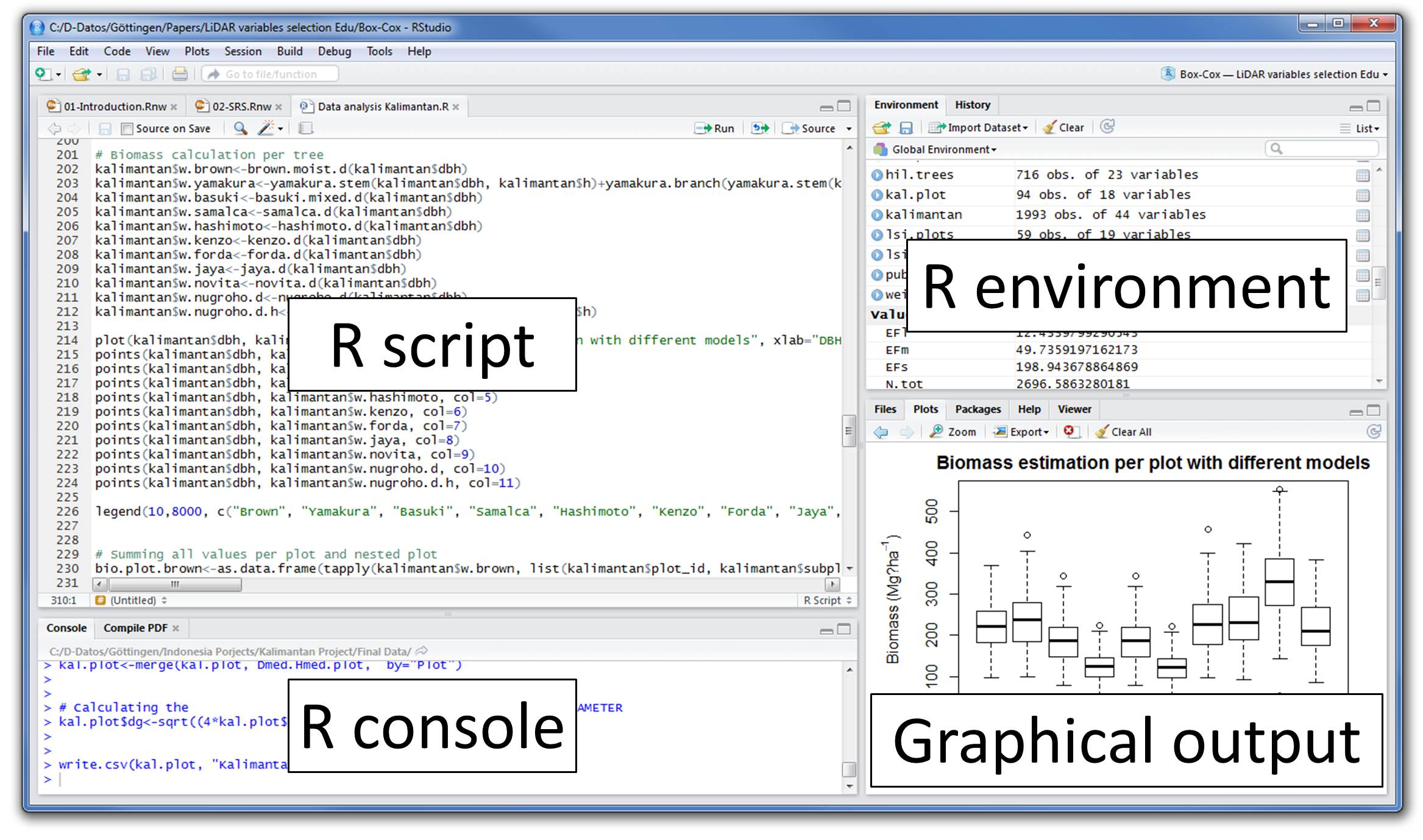 R programming jobs 