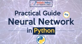 Practical Guide to implementing Neural Networks in Python (using Theano)