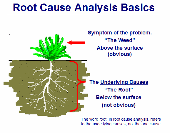PPT graphic - Root